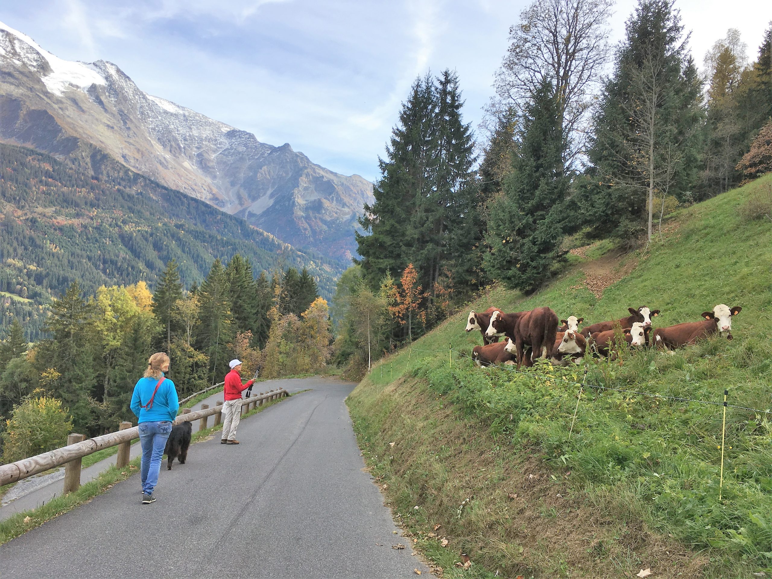 Herfst wandeling